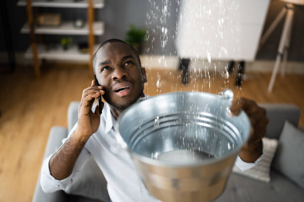Best Basement water damage restoration  in Claude, TX