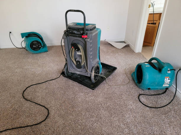 Professional Water damage restoration in Claude, TX