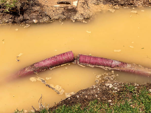 Best 24/7 water damage repair  in Claude, TX