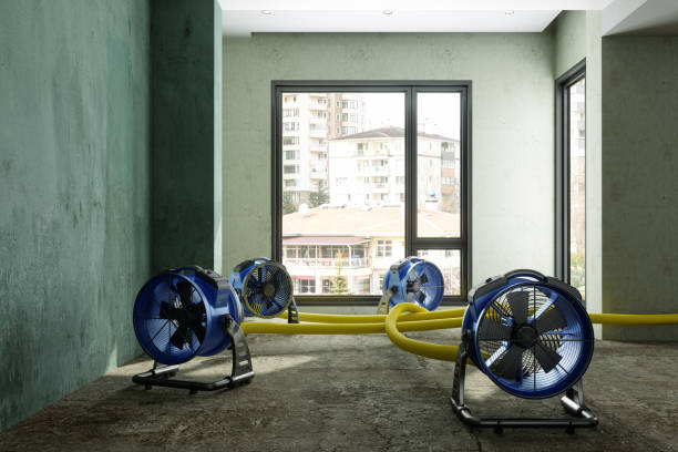Best Commercial water damage restoration  in Claude, TX