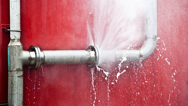 Best Flood damage cleanup  in Claude, TX